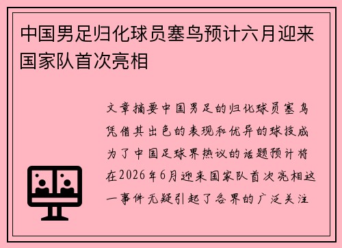 中国男足归化球员塞鸟预计六月迎来国家队首次亮相